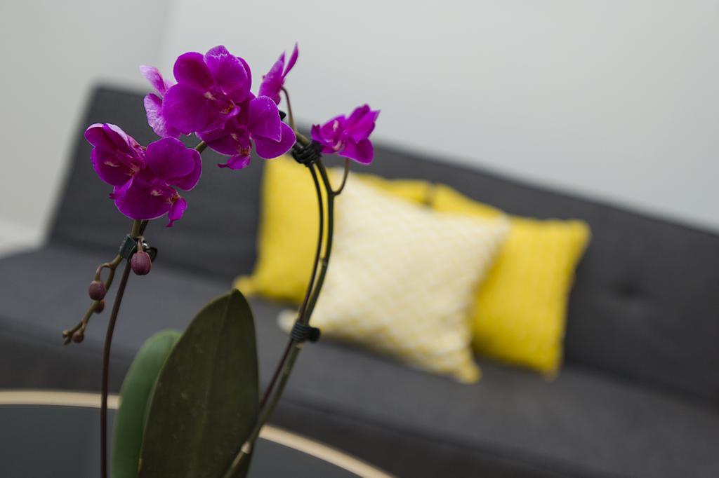 Market Street Apartments: Modern Centre Living With Wi-fi