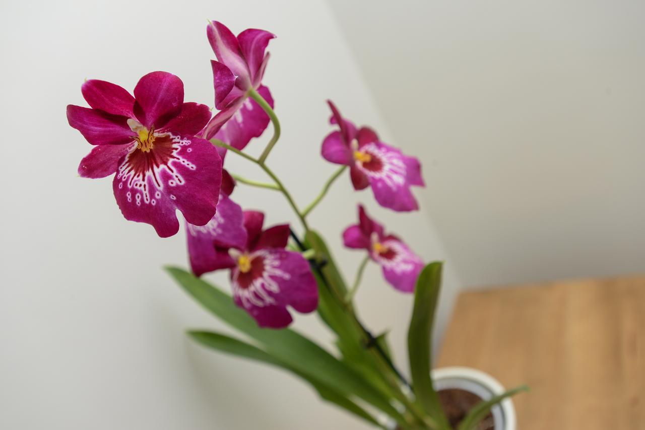 Apartment Market Street Apartments: Modern Centre Living With Wi-fi Nottingham